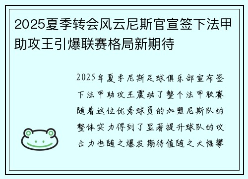 2025夏季转会风云尼斯官宣签下法甲助攻王引爆联赛格局新期待